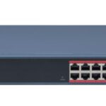 DS-3E1318P-EI (B)